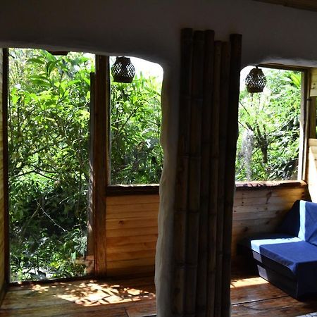Habitacion Las Bromelias, Pijao, Finca Flora Del Rio Bagian luar foto
