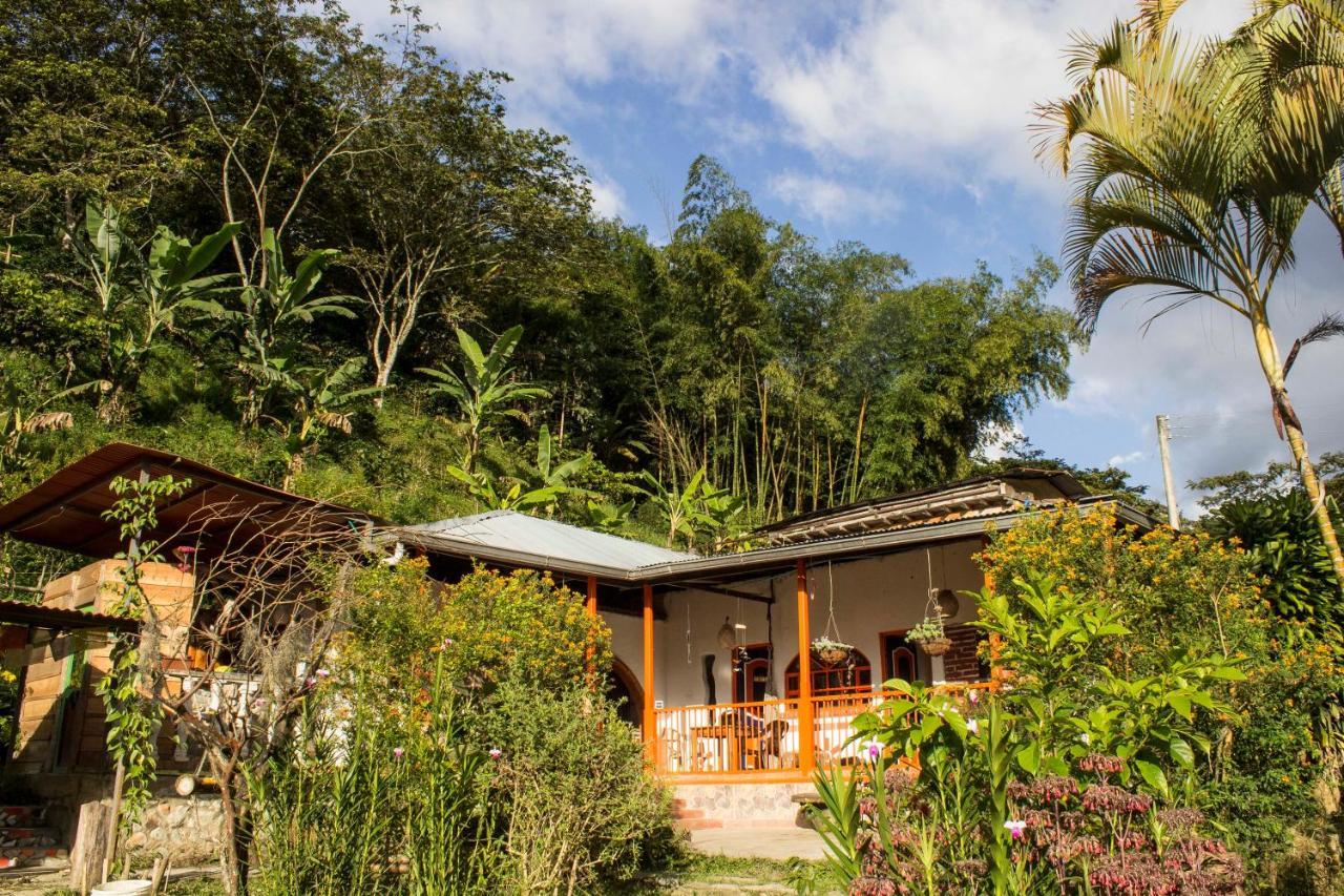 Habitacion Las Bromelias, Pijao, Finca Flora Del Rio Bagian luar foto