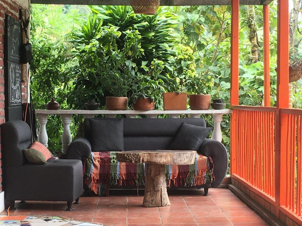 Habitacion Las Bromelias, Pijao, Finca Flora Del Rio Bagian luar foto