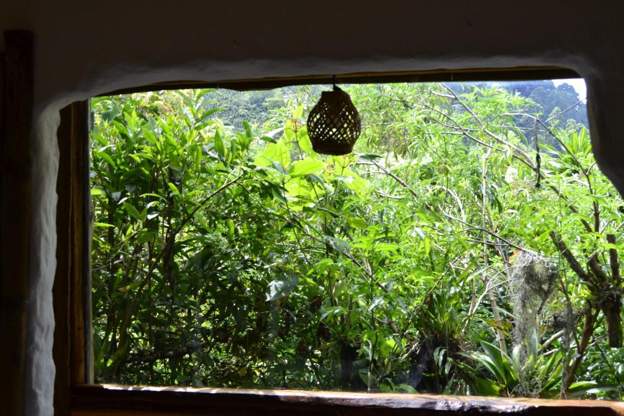 Habitacion Las Bromelias, Pijao, Finca Flora Del Rio Bagian luar foto